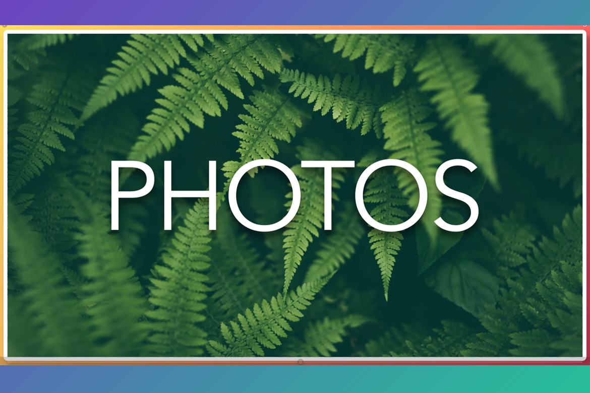 Graphics | Photos